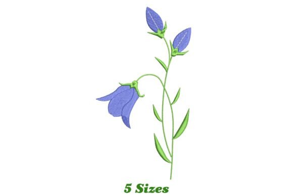 Bluebell Flower