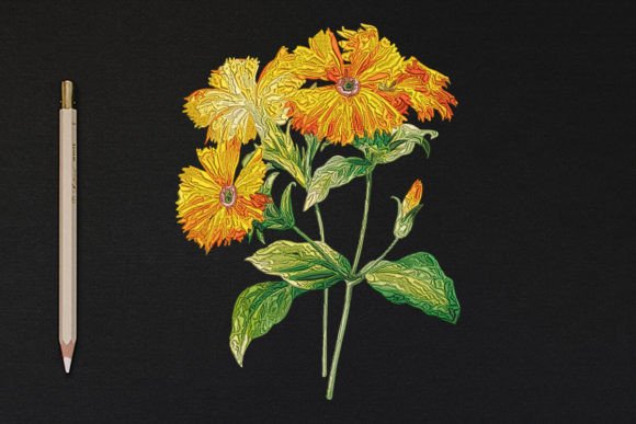 Elegant Flowers