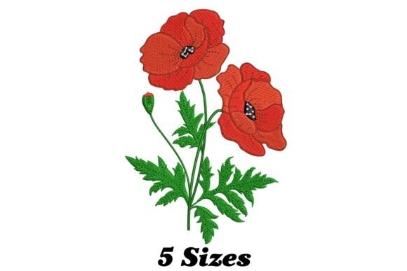 Exquisite Poppy Flower