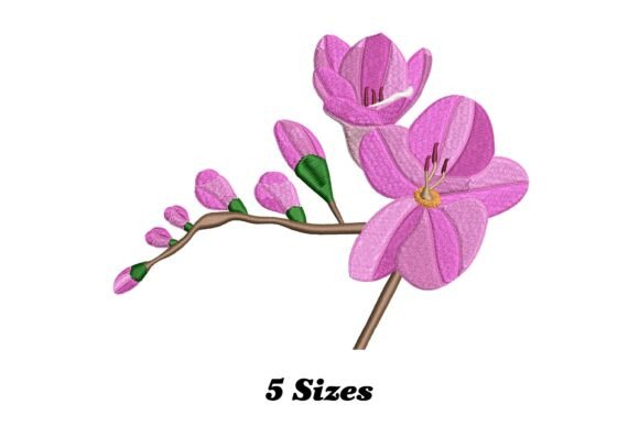 Freesia Flower