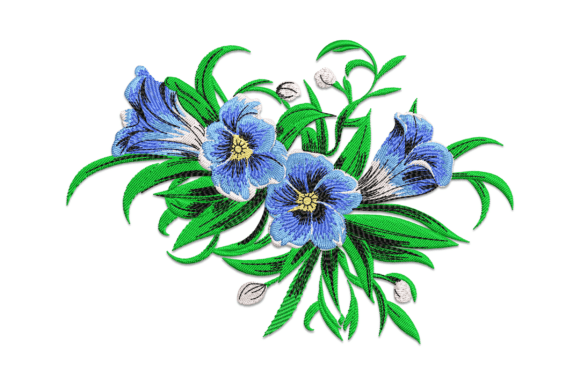 Gentian Flowers