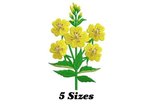 Primrose Flower